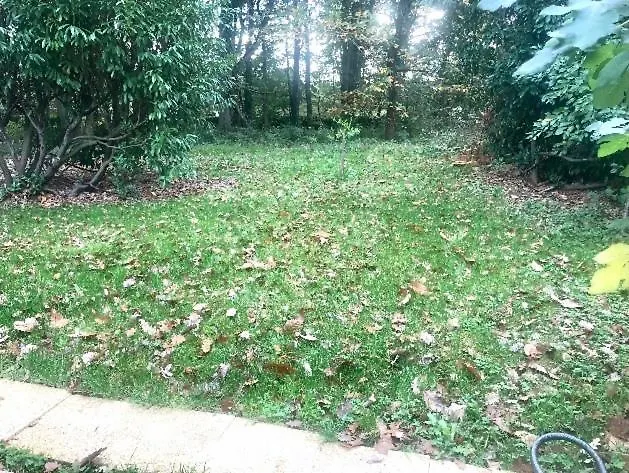 Parisian Forest Nyaraló