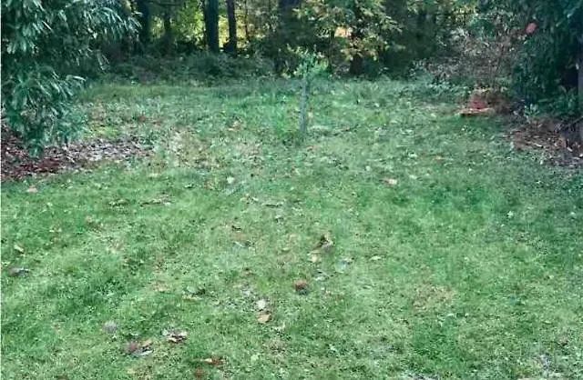 Parisian Forest Nyaraló